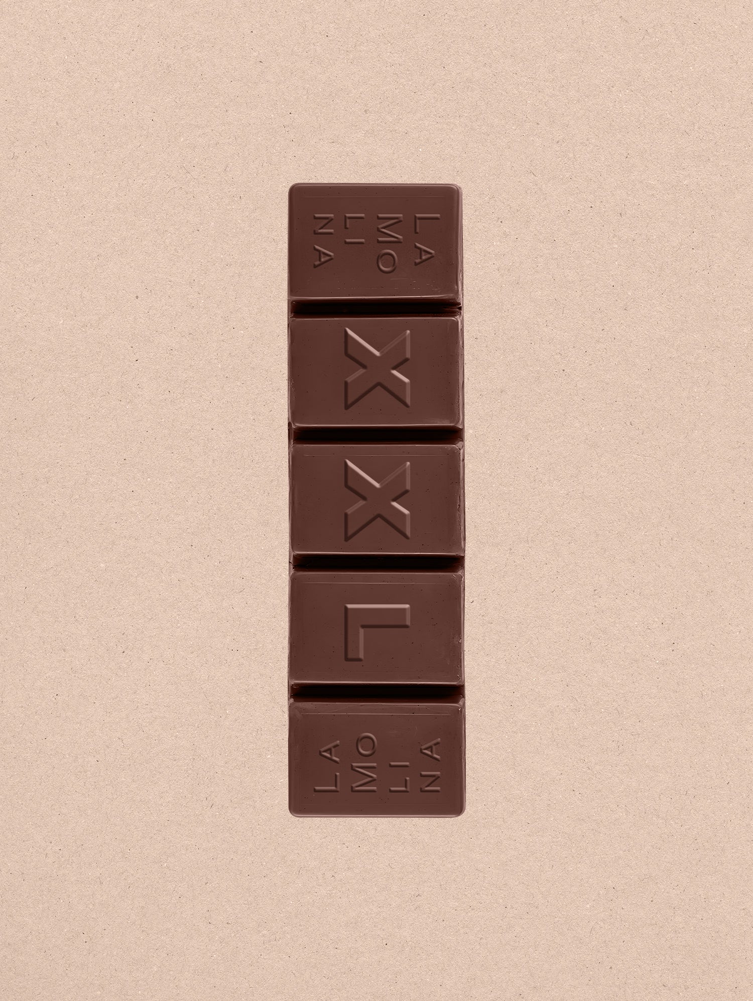 XXL Dark Gianduja With Whole Hazelnuts
